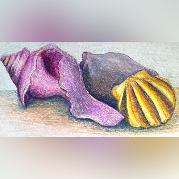 NEW Handmade Hand Crafted Beach Sea Shell Drawing Ocean Object Study Home Art - Picture 4 of 6